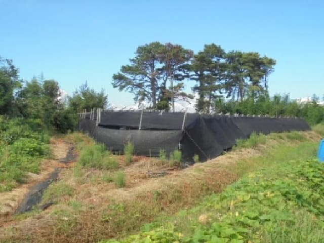 B000282202501300004763.jpg