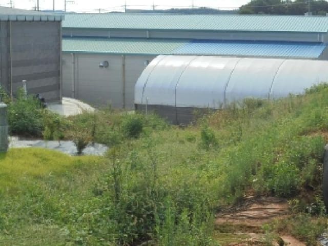 B000282202501300004761.jpg