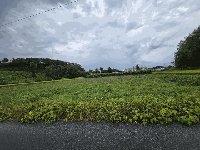 B000282202501300004804.jpg
