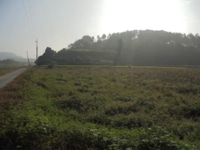 B000282202501300004801.jpg