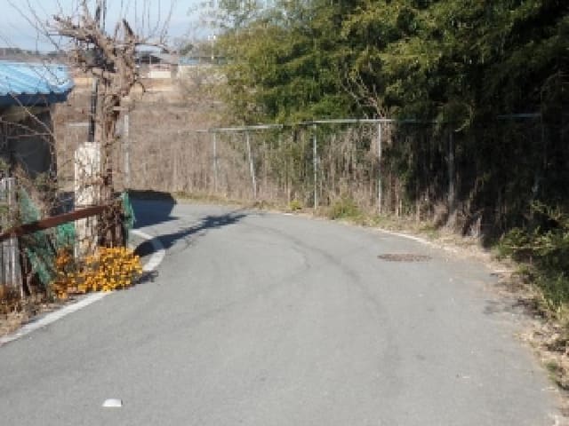 B000282202501300004834.jpg