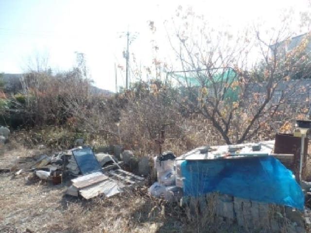 B000282202501300004864.jpg