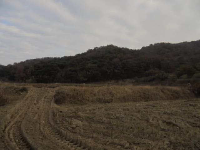 B000282202501300004902.jpg