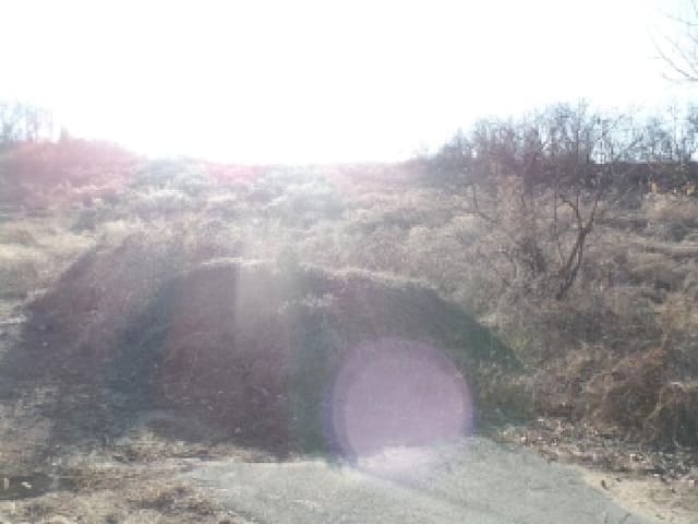 B0002822025013000049624.jpg