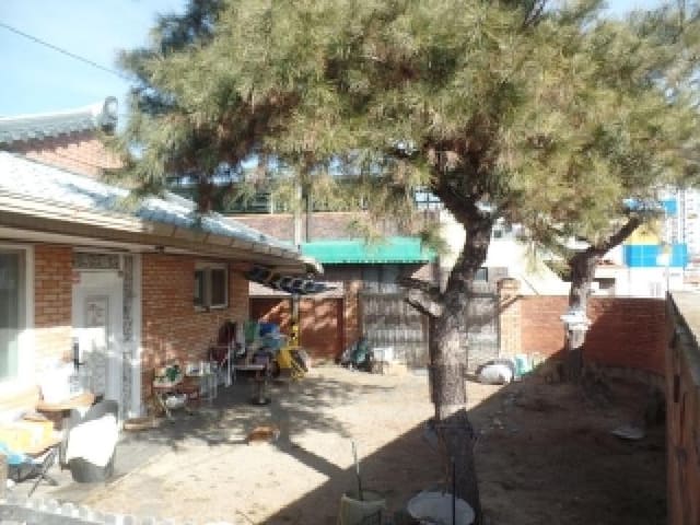 B000282202501300005002.jpg