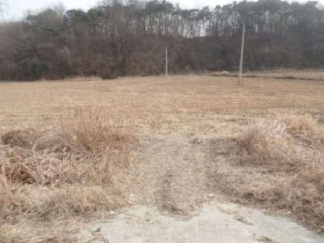 B0002822025013000051521.jpg