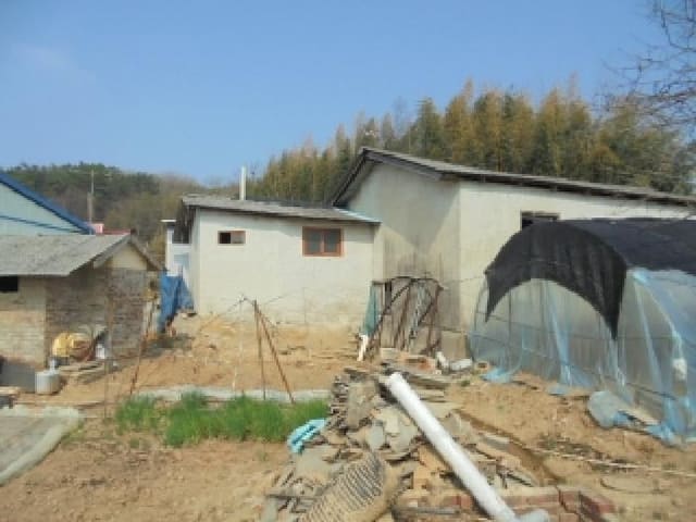 B000282202501300202644.jpg
