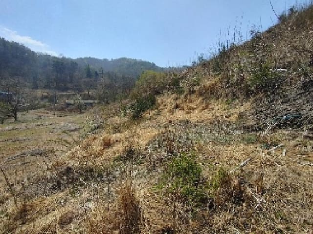 B000282202501300202903.jpg