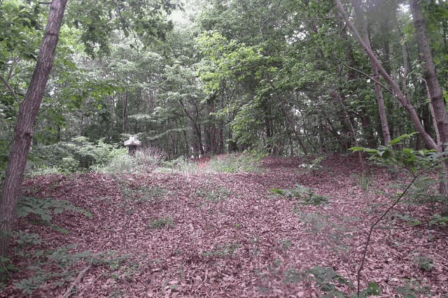 B000282202501300203264.jpg