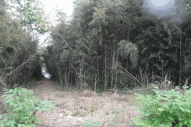B000282202501300203263.jpg
