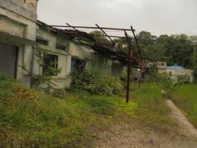 B000282202501300203393.jpg