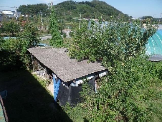 B0002822025013002037740.jpg
