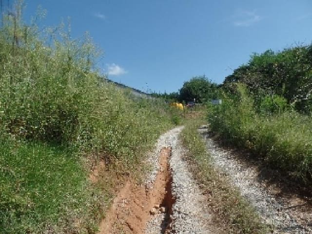 B0002822025013002037739.jpg