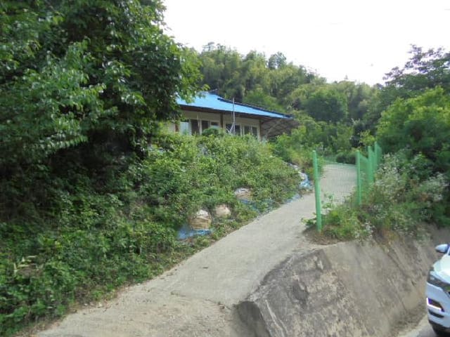 B000282202501300203823.jpg