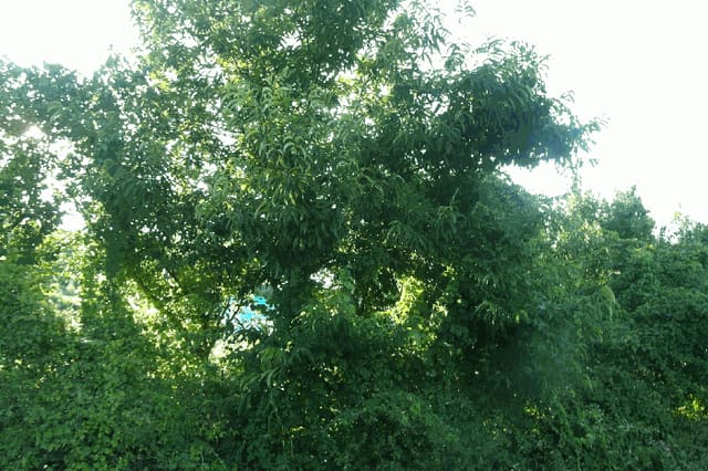 B0002822025013002038613.jpg