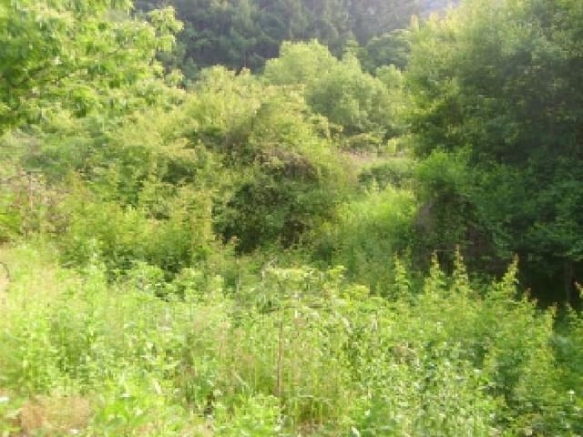 B000282202501300203873.jpg