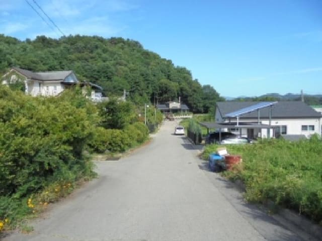 B000282202501300203883.jpg