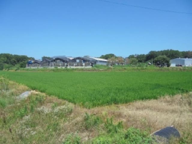 B000282202501300203893.jpg