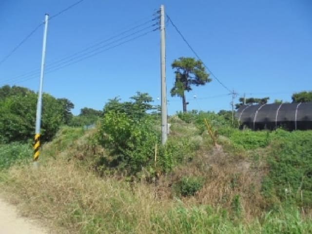 B000282202501300203892.jpg