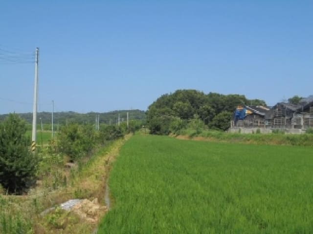 B000282202501300203894.jpg