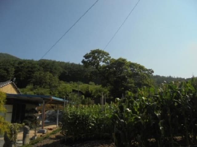 B000282202501300203972.jpg