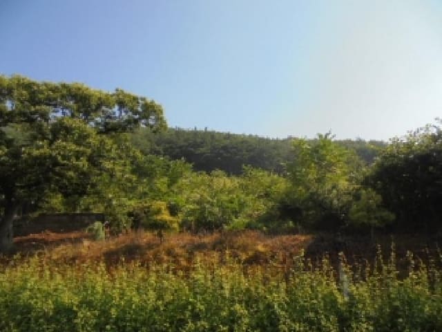 B000282202501300203973.jpg