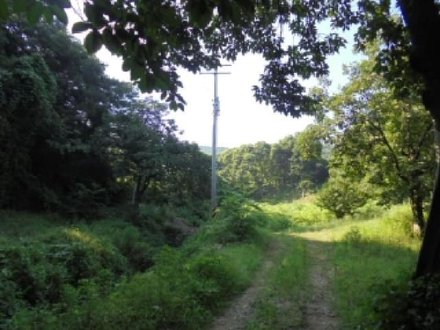 B000282202501300203974.jpg
