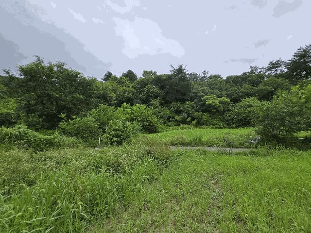 B000282202501300204014.jpg