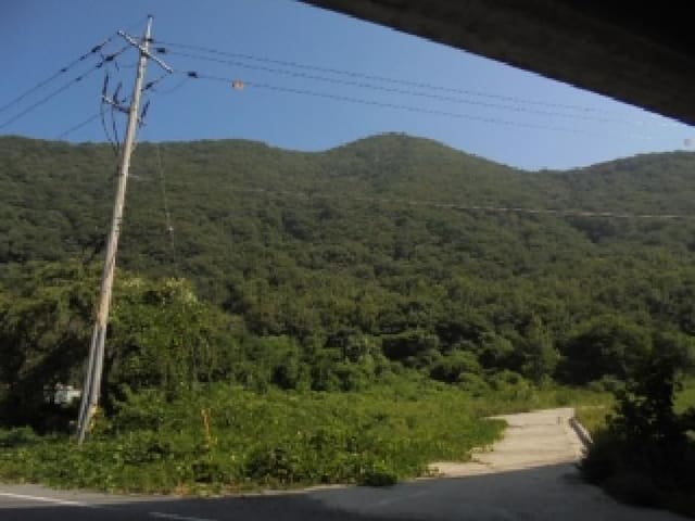 B000282202501300204081.jpg