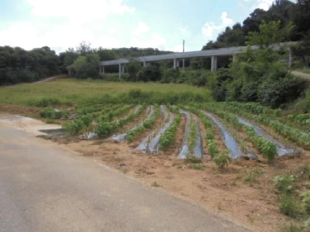 B000282202501300204554.jpg