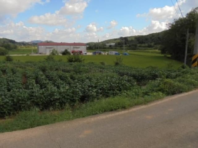 B000282202501300204553.jpg