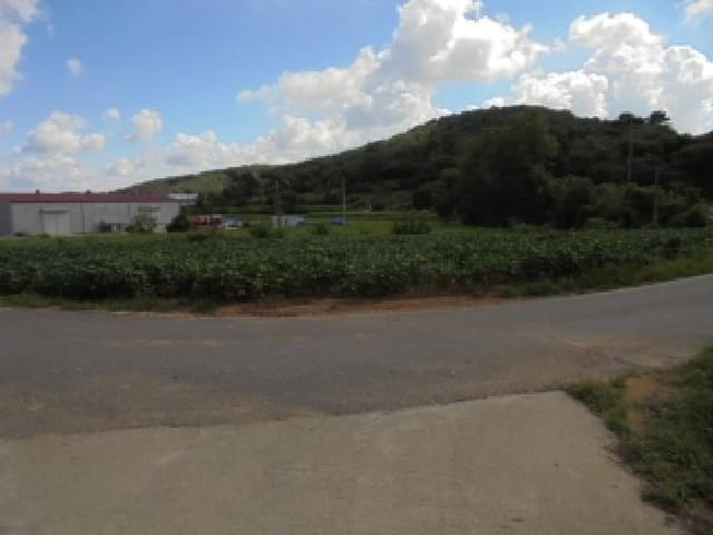 B000282202501300204551.jpg