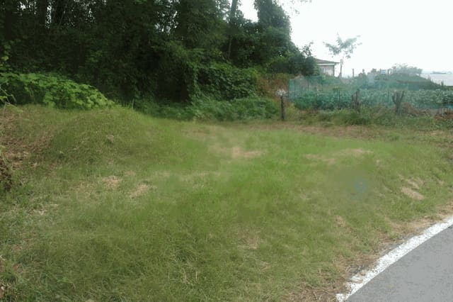 B000282202501300204577.jpg