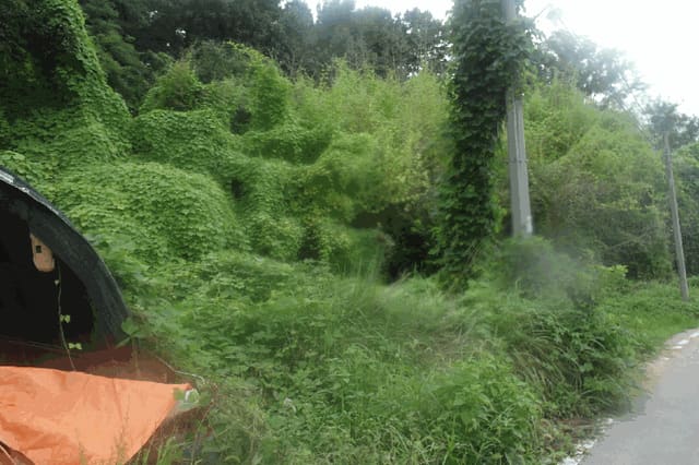 B000282202501300204576.jpg