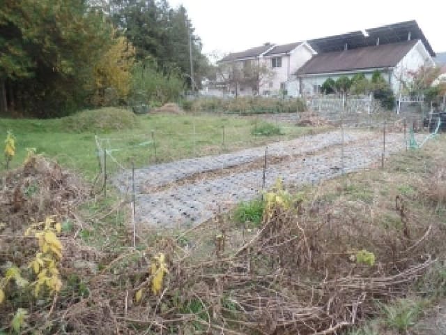 B000282202501300204614.jpg