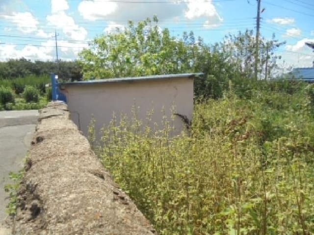 B000282202501300204633.jpg