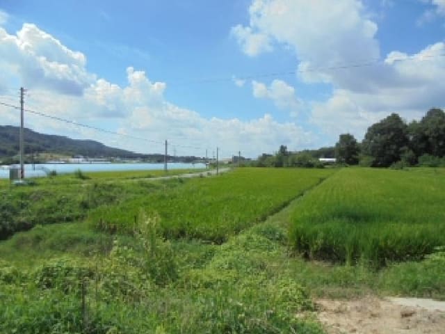 B000282202501300204701.jpg