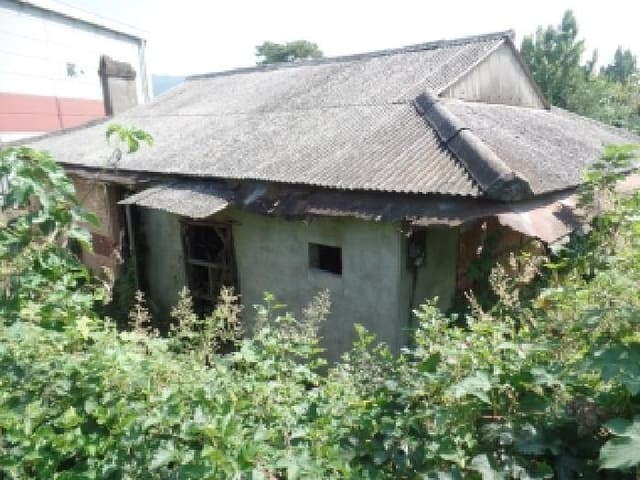 B000282202501300204812.jpg