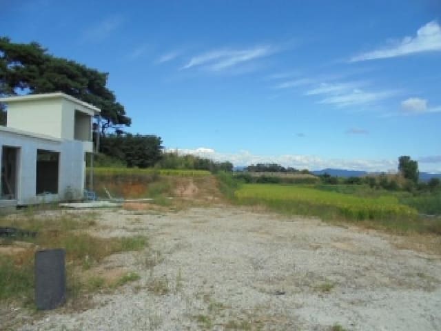B000282202501300204914.jpg