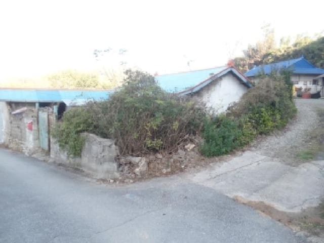 B0002822025013002049332.jpg