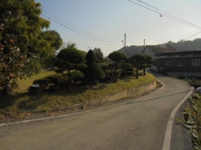 B000282202501300205062.jpg