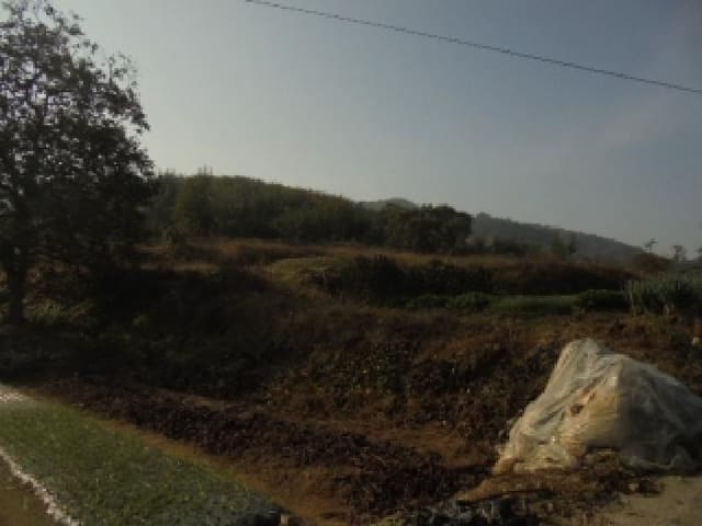 B000282202501300205113.jpg