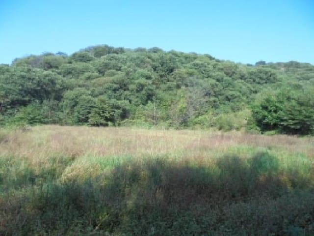 B000282202501300205121.jpg