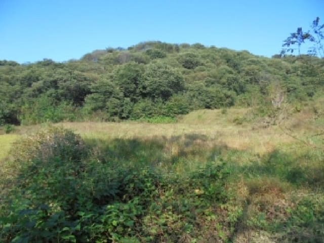 B000282202501300205122.jpg