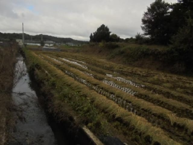 B000282202501300205131.jpg