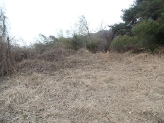 B000282202501300205194.jpg