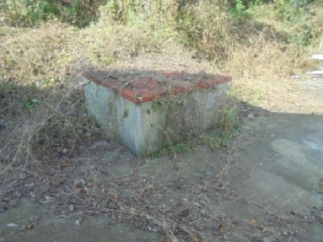 B000282202501300205204.jpg