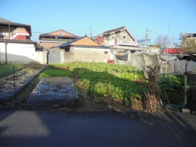 B000282202501300205293.jpg