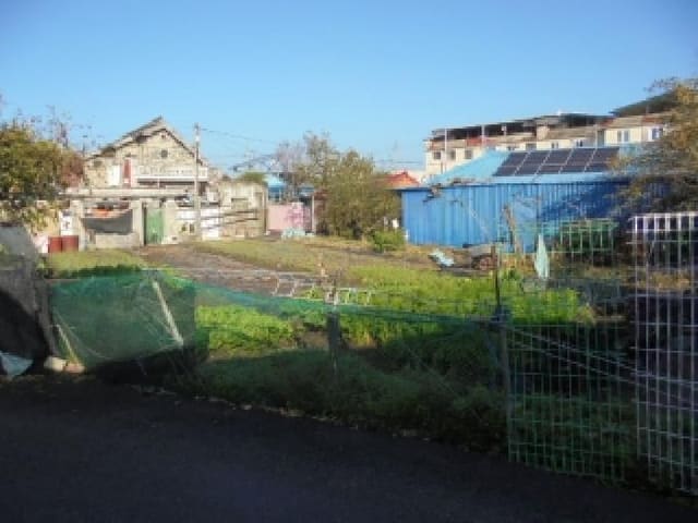 B000282202501300205291.jpg