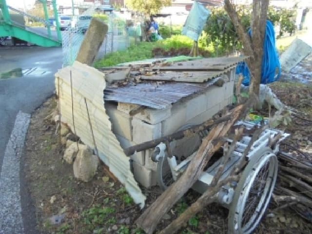 B000282202501300205292.jpg